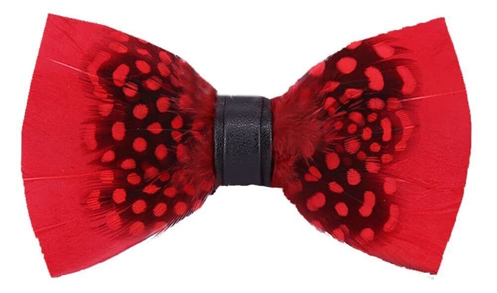9067 Peacock Feather Bowtie Dress up Great Pre Tied Formal Party Suit Bow
